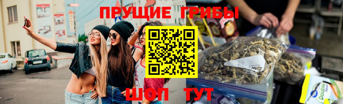Коряжма  Псилоцибиновые грибы Psilocybe  Вход с VPN 